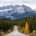 Fortune Minerals Secures $50 Million for Nico Project Road Construction